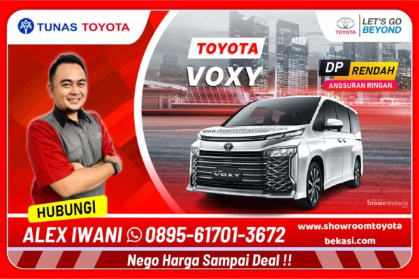 Voxy